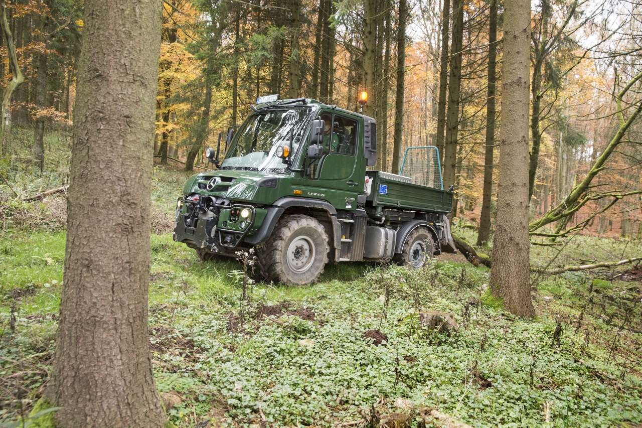 U 318 Einsatzaufnahmen Forstwirtschaft Udo van Meeteren