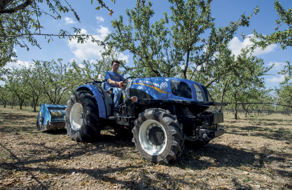  New  Holland  T3  75 F Un giovane di belle speranze 